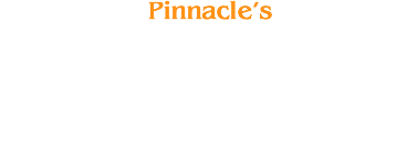 Pinnacle's Turnkey ID Solutions Logo